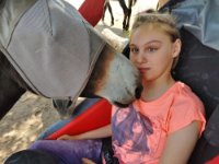 ein Bild aus dem Album